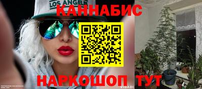 сатива Малоярославец