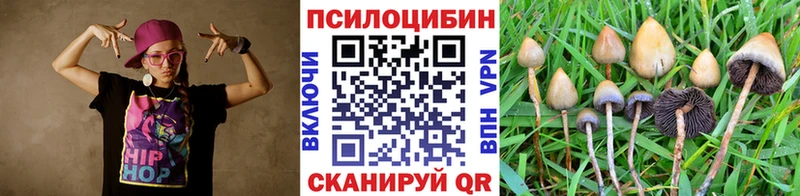 Галлюциногенные грибы Cubensis  где найти наркотики  Скопин 