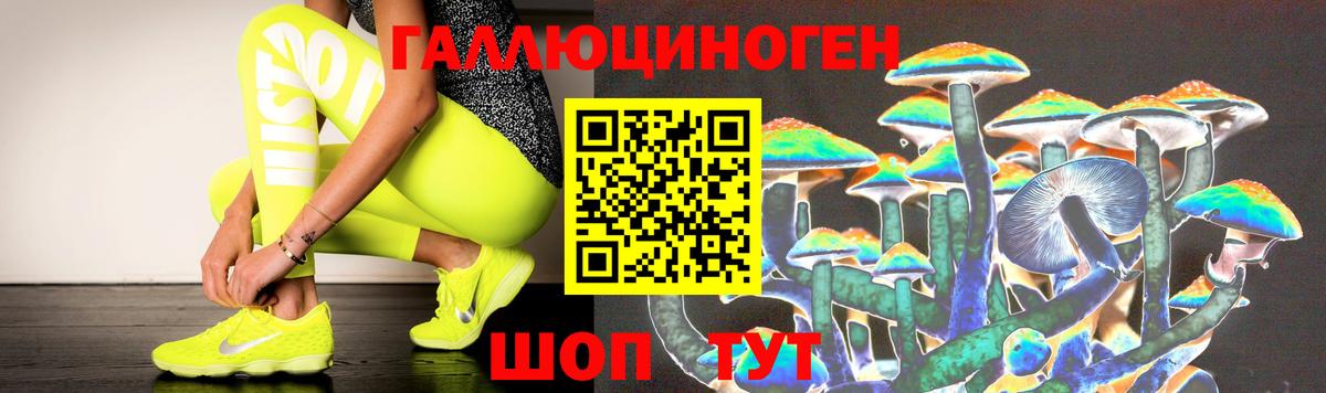 Скопин  Галлюциногенные грибы мухоморы  Вход с VPN 
